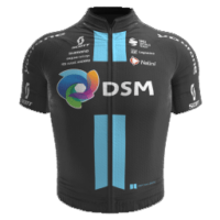 Team DSM