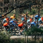 Paris Nice : les maillots des équipes engagées