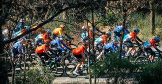 Image de l'article Paris Nice : les maillots des équipes engagées