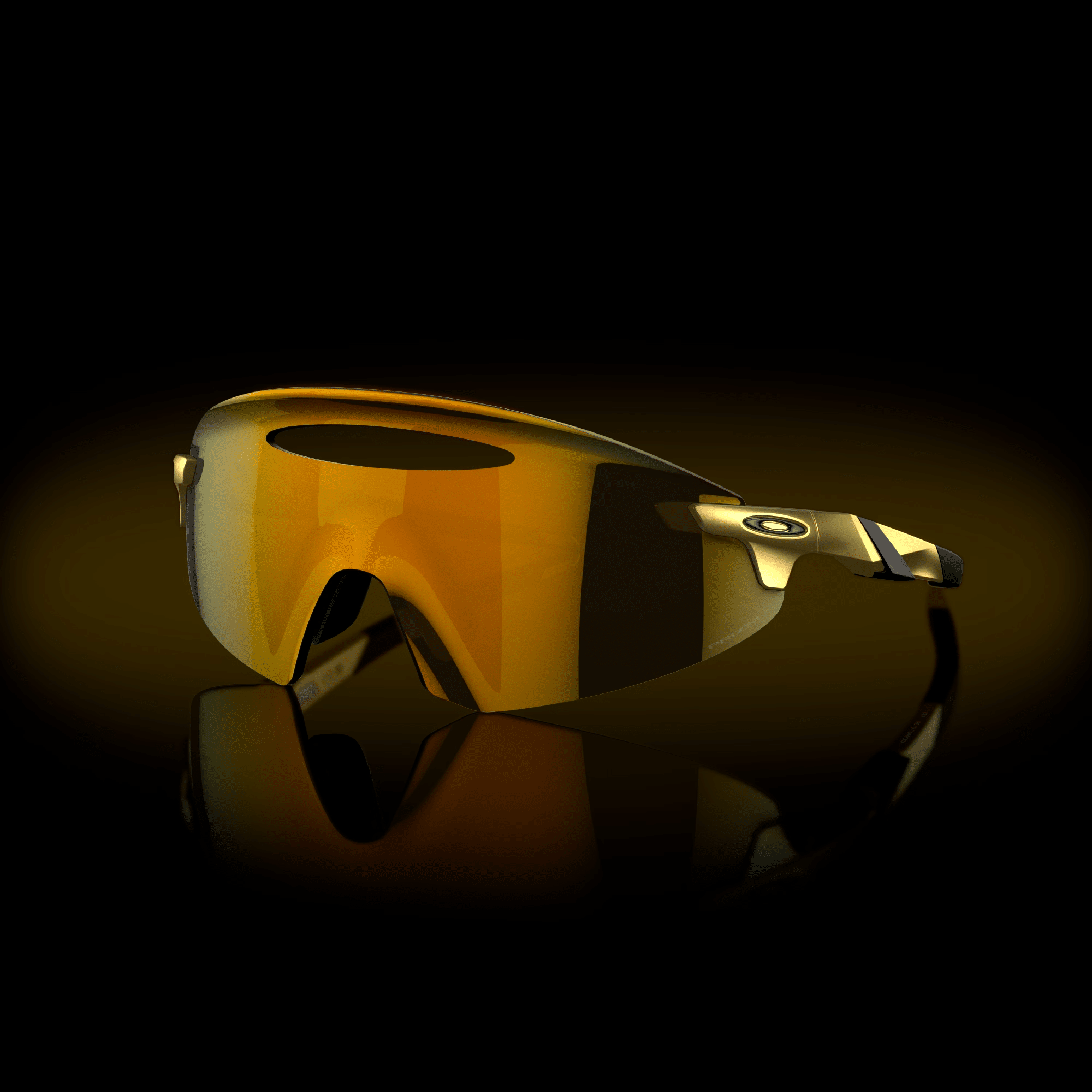 Oakley Encoder Or Ellipse