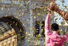 Image de l'article Pourquoi le maillot du Giro est-il rose ?