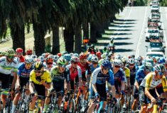 Image de l'article Tour Down Under 2024 : Guide complet des étapes et des maillots