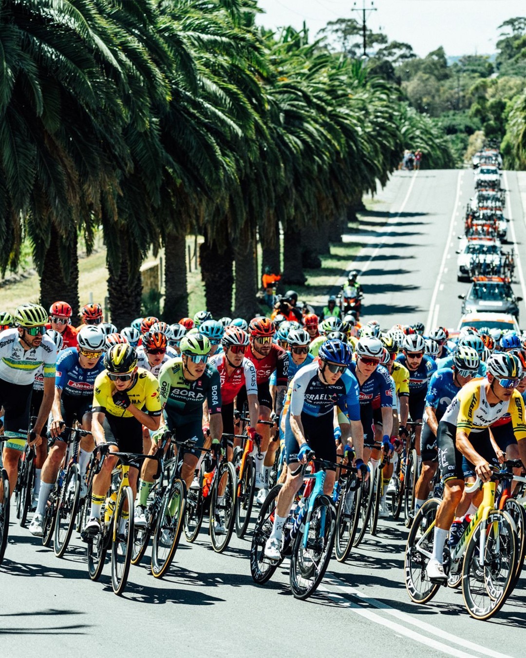 tour down under 2024 tours