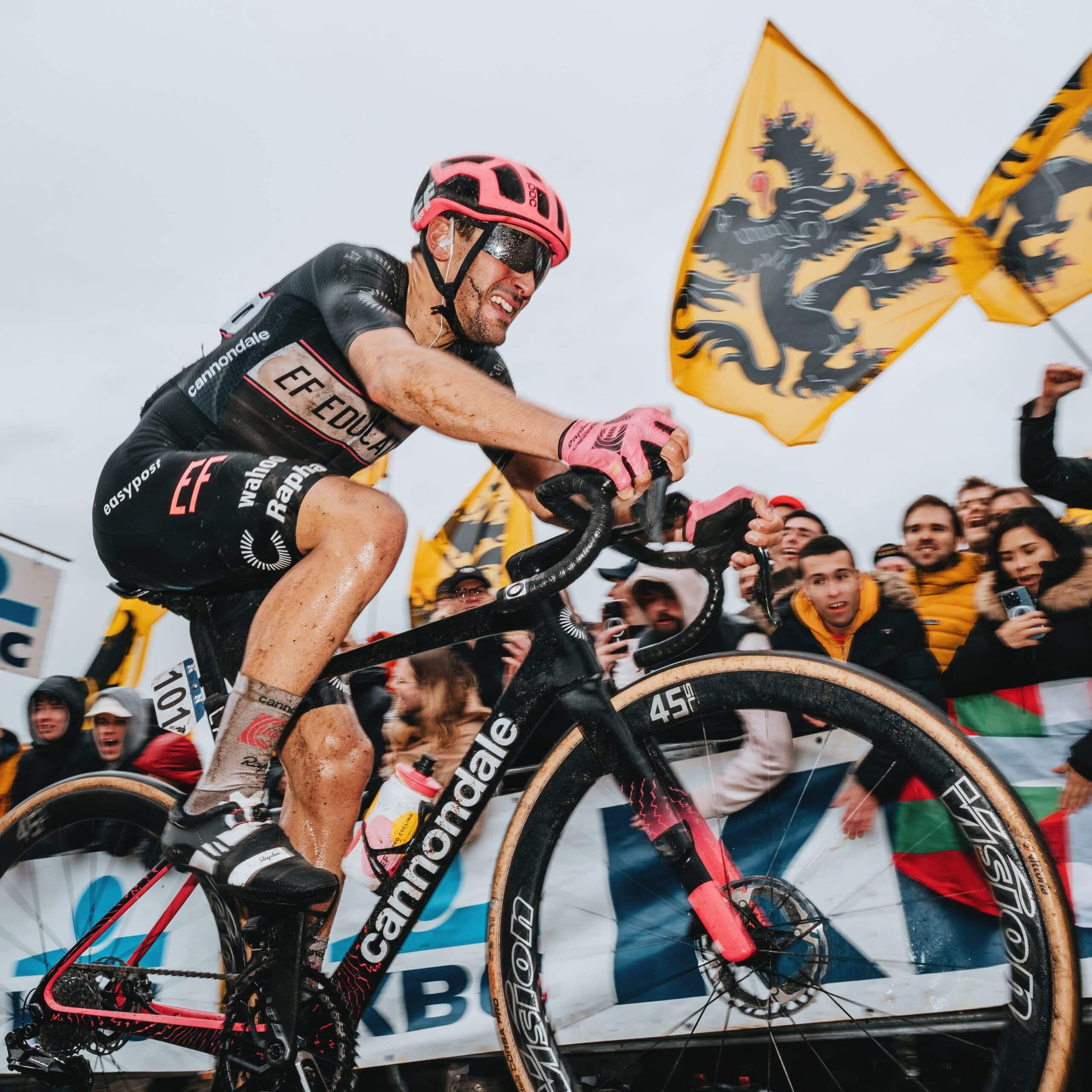 maillot noir ef education easypost tour des flandres 2024