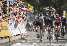 Image de l'article Les favoris pour le maillot vert du Tour de France 2024