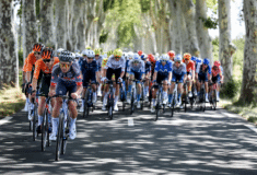 Image de l'article Pourquoi la moitié des équipes vont changer de maillots pour le Tour de France 2025 ?