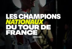 Image de l'article 11 champions nationaux seront au départ du Tour de France 2026