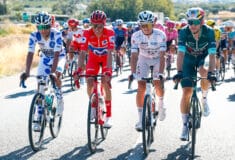 Image de l'article Vuelta : quatre vélos spéciaux pour les quatre maillots distinctifs